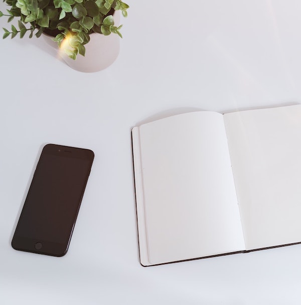 institute for integrative nutrition review