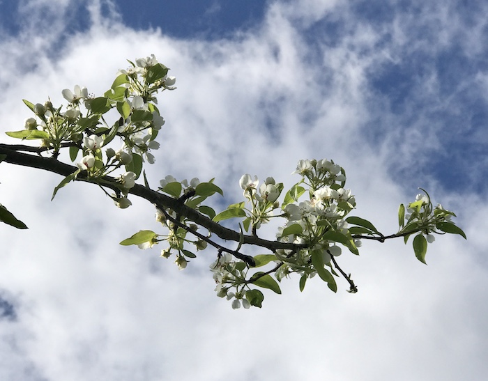 energizing guided meditation script