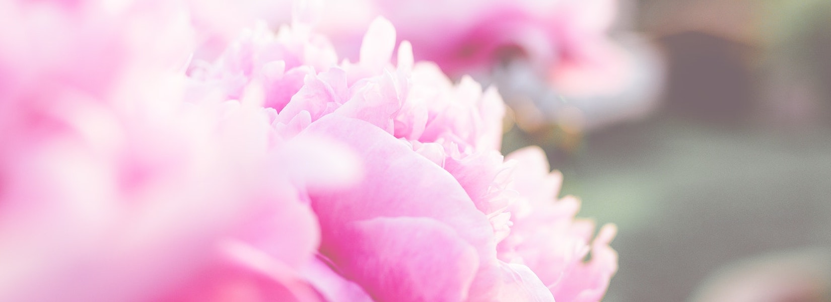 50 Things That Make Me Happy