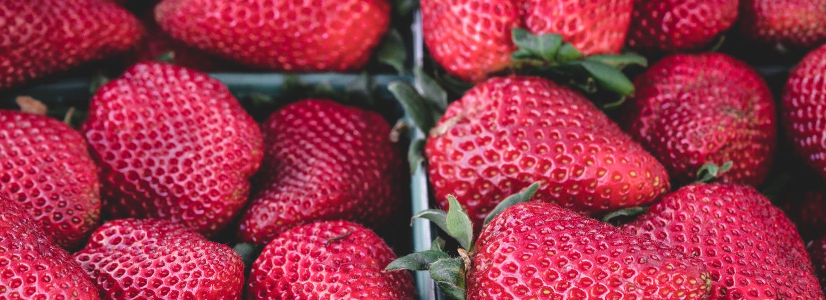 produce foods to buy organic