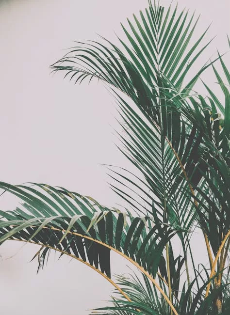 Stylish tropical palm leaves set against a minimalist white backdrop.